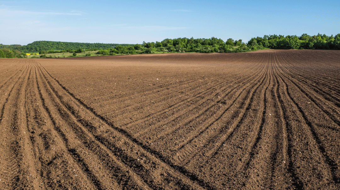 ũܻƪ£6163ũܱվ仧ɽͬ