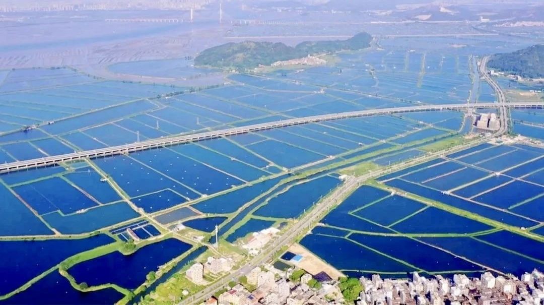 6163ӳɹб꺫ŽˮϵͨŻ